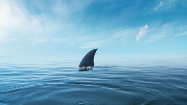 5f8720091f000065a10c1e68