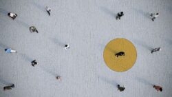 5f90c5f22400000807b02bef