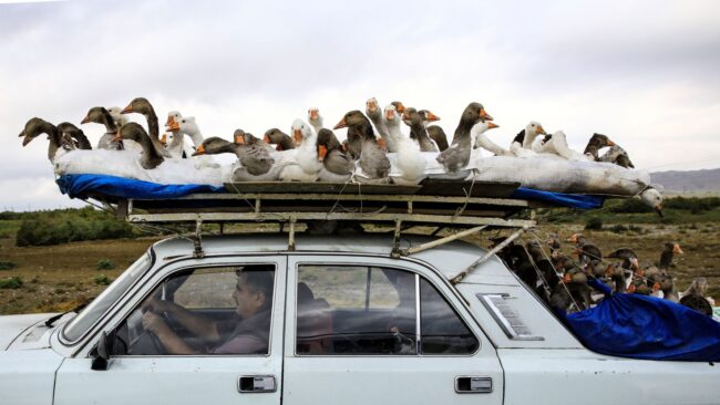 5f934051240000ca0ab02eb7