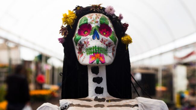 5f967c19240000ca1261e6c1