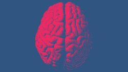 5f9849892400005d1f61e8bd