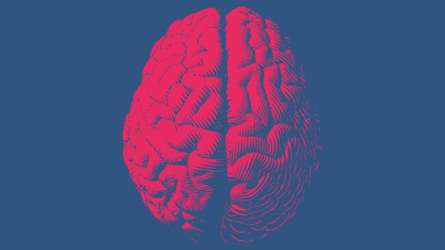 5f9849892400005d1f61e8bd