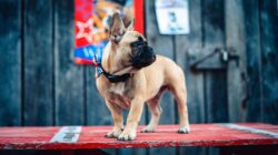 5fa31d94290000c323c6b568