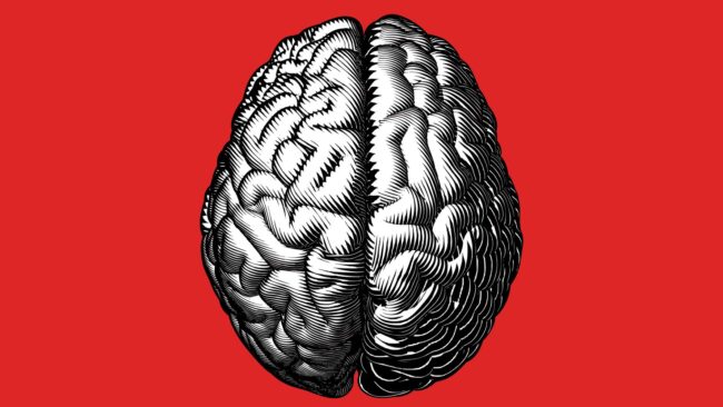 5faae8b1290000e925c6bb47