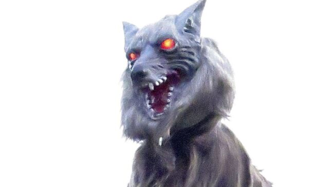 5fae74a92400008828b04392