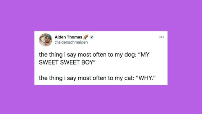 5faefbe8290000ff33c6bf06