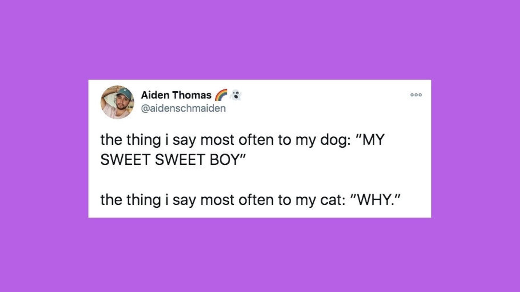 5faefbe8290000ff33c6bf06