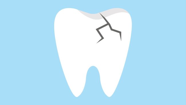 5fb1e46f240000ba2ab0455b