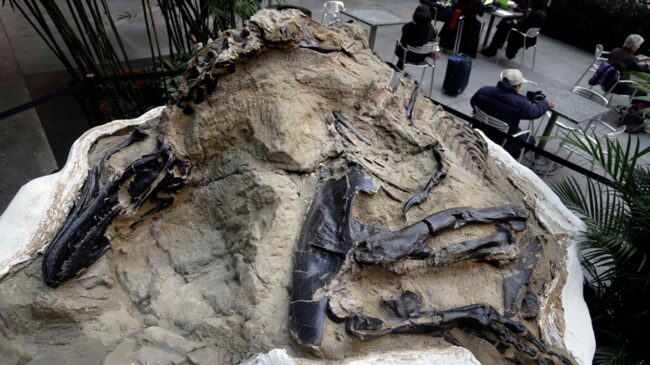 5fb45540290000dc3cc6c260