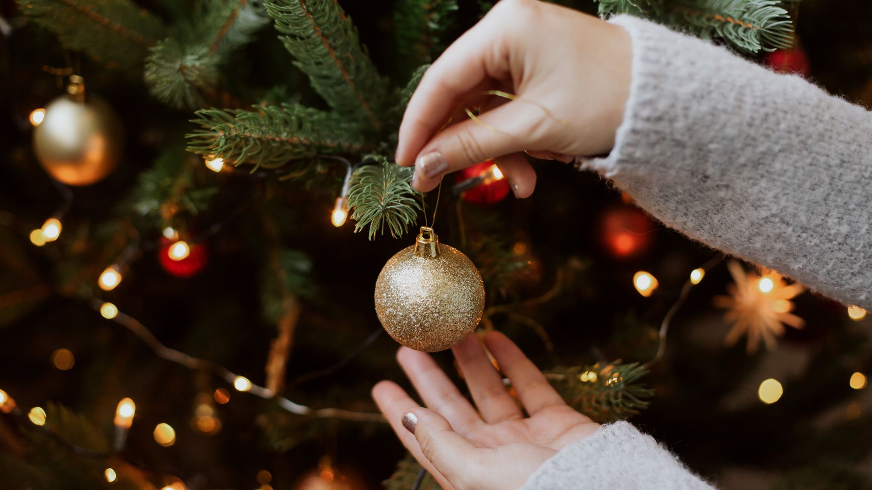 5fb52b65240000414b9aed70