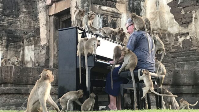 5fbbf0fc2100003b04ed112a