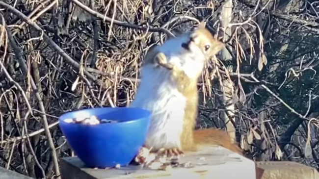 5fbe898b2900005c80c6c972