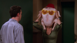 5fc0fe7d1f00007709769f4e