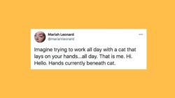 5fc1864a1f0000e904769fbc