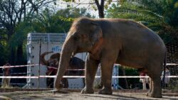 5fc3dcc52300002c08400b38