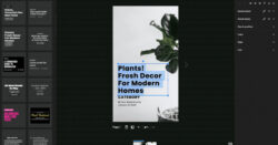 Google Web Stories Plugin for WordPress Gets First Big Update 2 7b3fc9af 0c73 4f0f 8a7d b2be31d7daf5 5faeff7614c2d