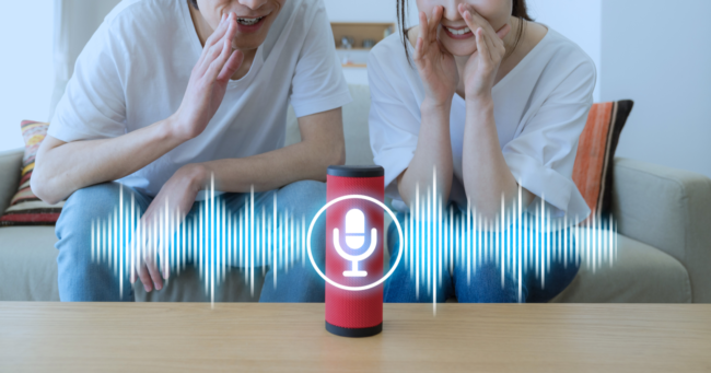 whatever happened to voice search 5fa15b1ada48f