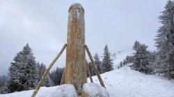 5fc959a4210000370273e1f4