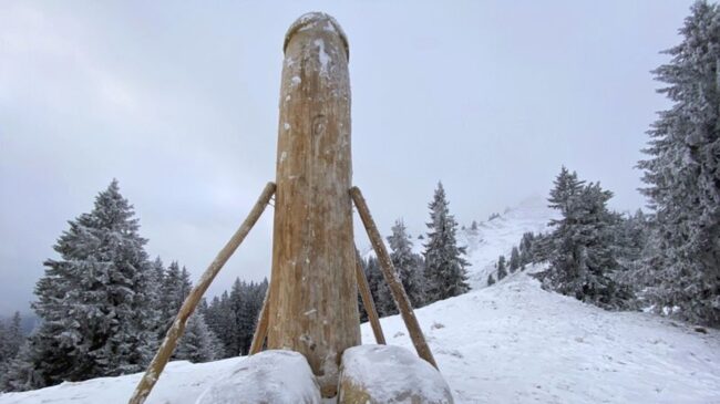 5fc959a4210000370273e1f4