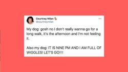 5fcaa871240000b10140b427