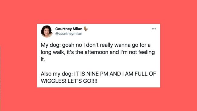 5fcaa871240000b10140b427