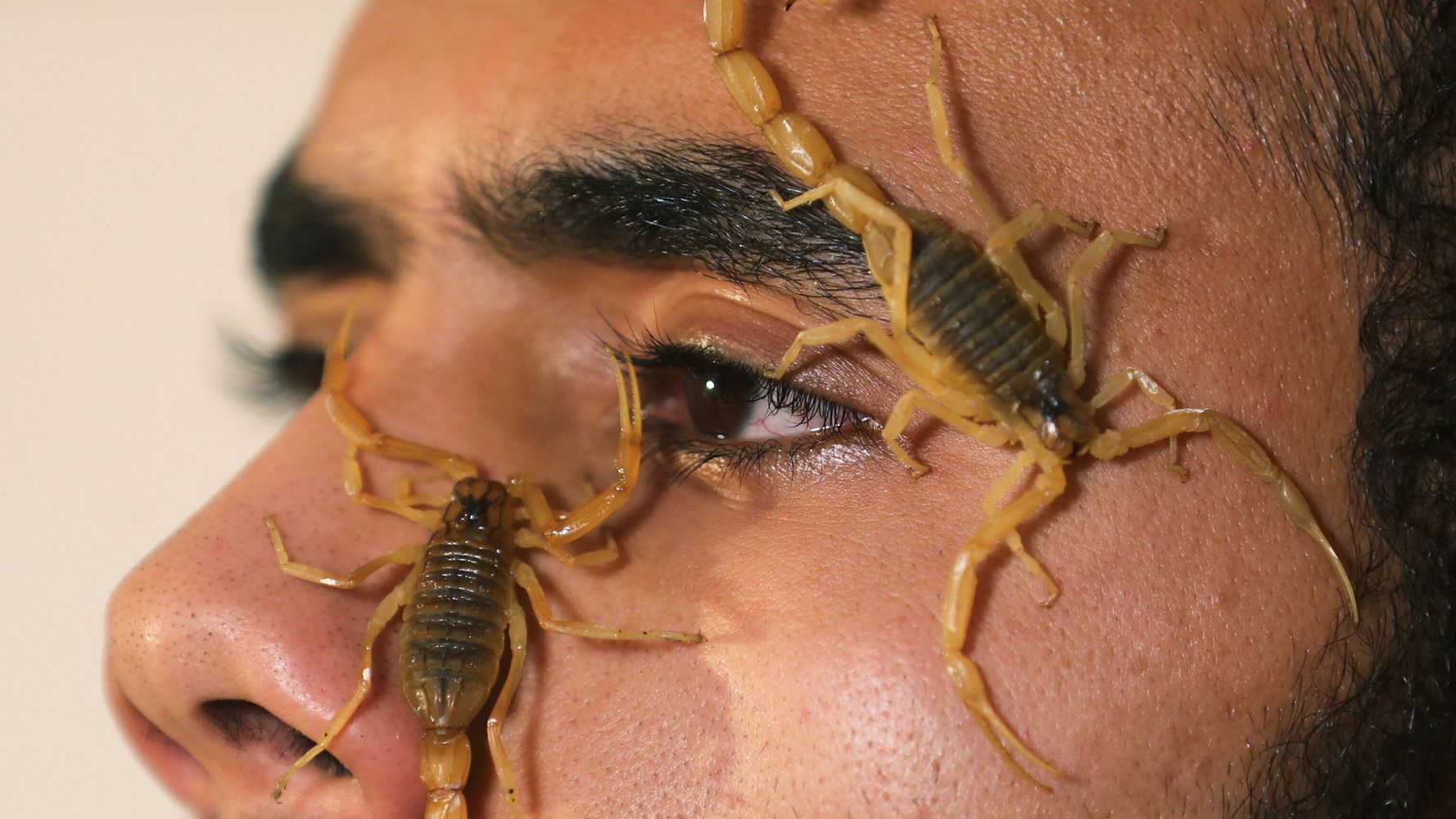 5fce69db240000ca0140b59c