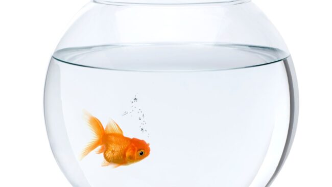 5fd0e8cf240000ca0140b773