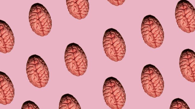 5fdcd6861e0000310076ef21