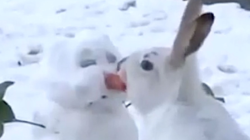 5fe078b6200000a201bb757c