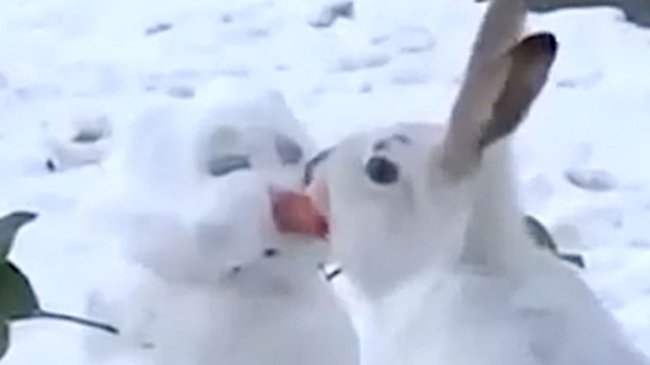 5fe078b6200000a201bb757c