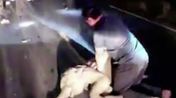 5fe1037e2600005900a4f53f