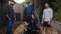 5fe25ebe24000017078ad4c9