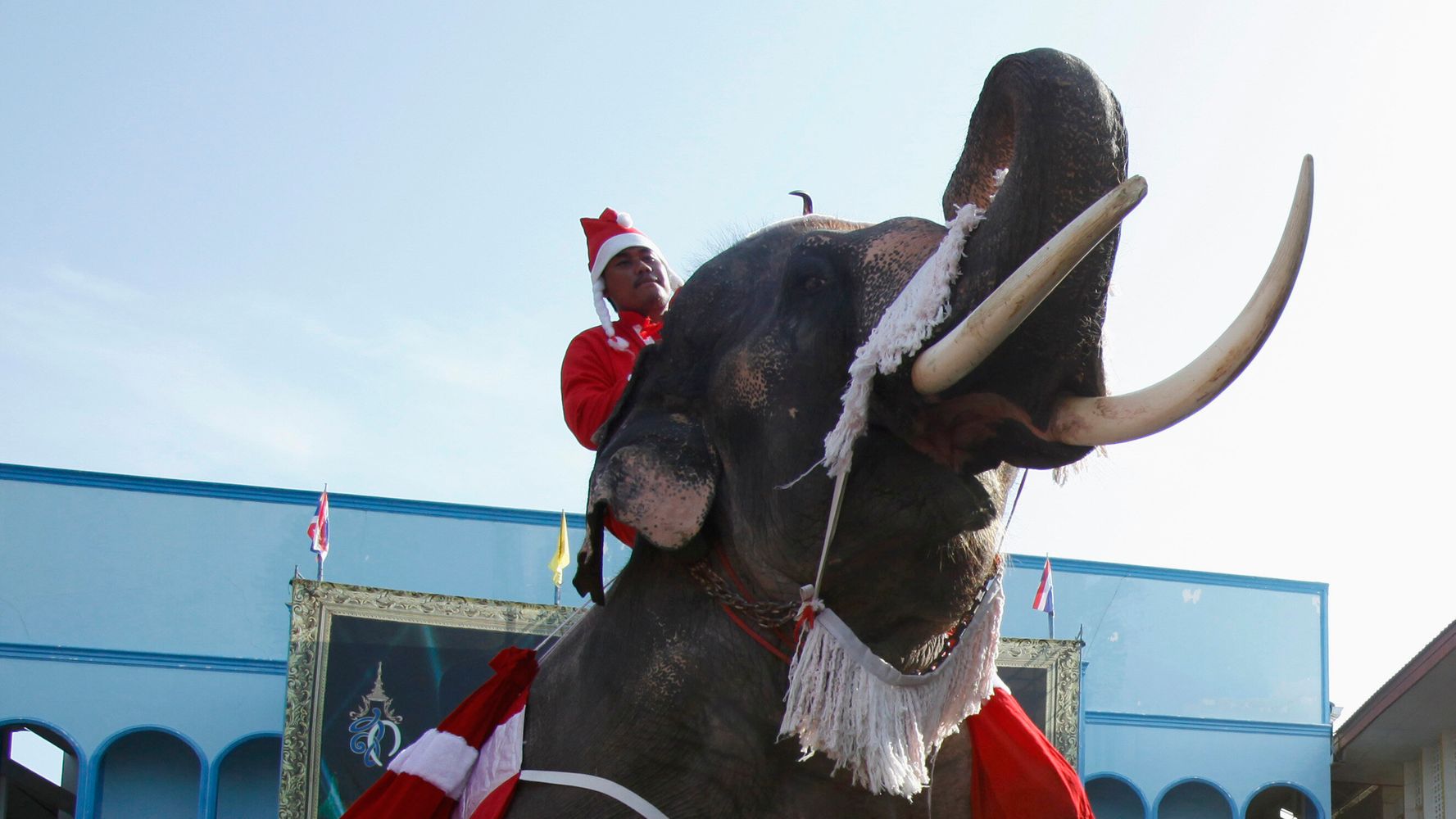 5fe3775d260000cf04a4f70e