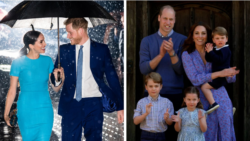 5fe3a603260000a1057a315a