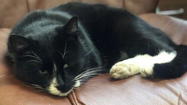 5fe61488240000c5068ad6f1