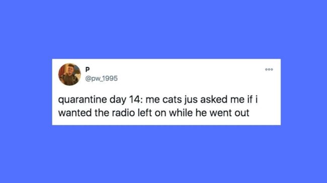 5fed0b1426000019300c636b