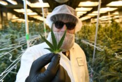 GettyImages 1199475604