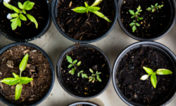 Screen Shot 2020 12 22 at 4.28.33 PM