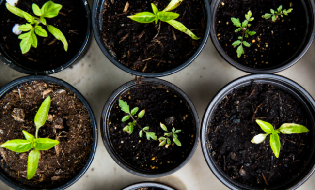 Screen Shot 2020 12 22 at 4.28.33 PM