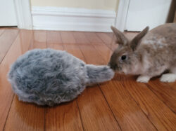 original 8aad277b 040c 4dc2 8c9e 04d4a9777393 20201230 113026