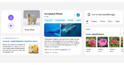 2c4da0d8 4558 45a5 8ab7 85bc52fc9c47 600b00268c8da