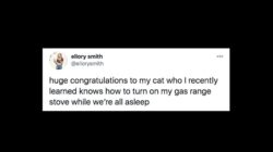 5fee3fbb24000051328adb06