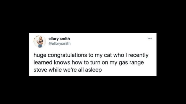 5fee3fbb24000051328adb06