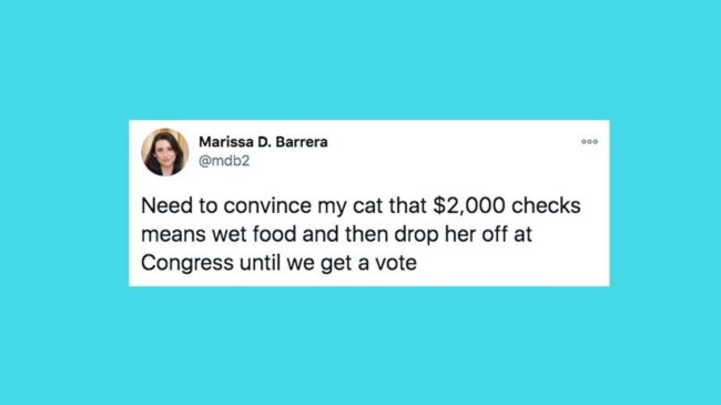 5fee4915260000fd2f0c6413