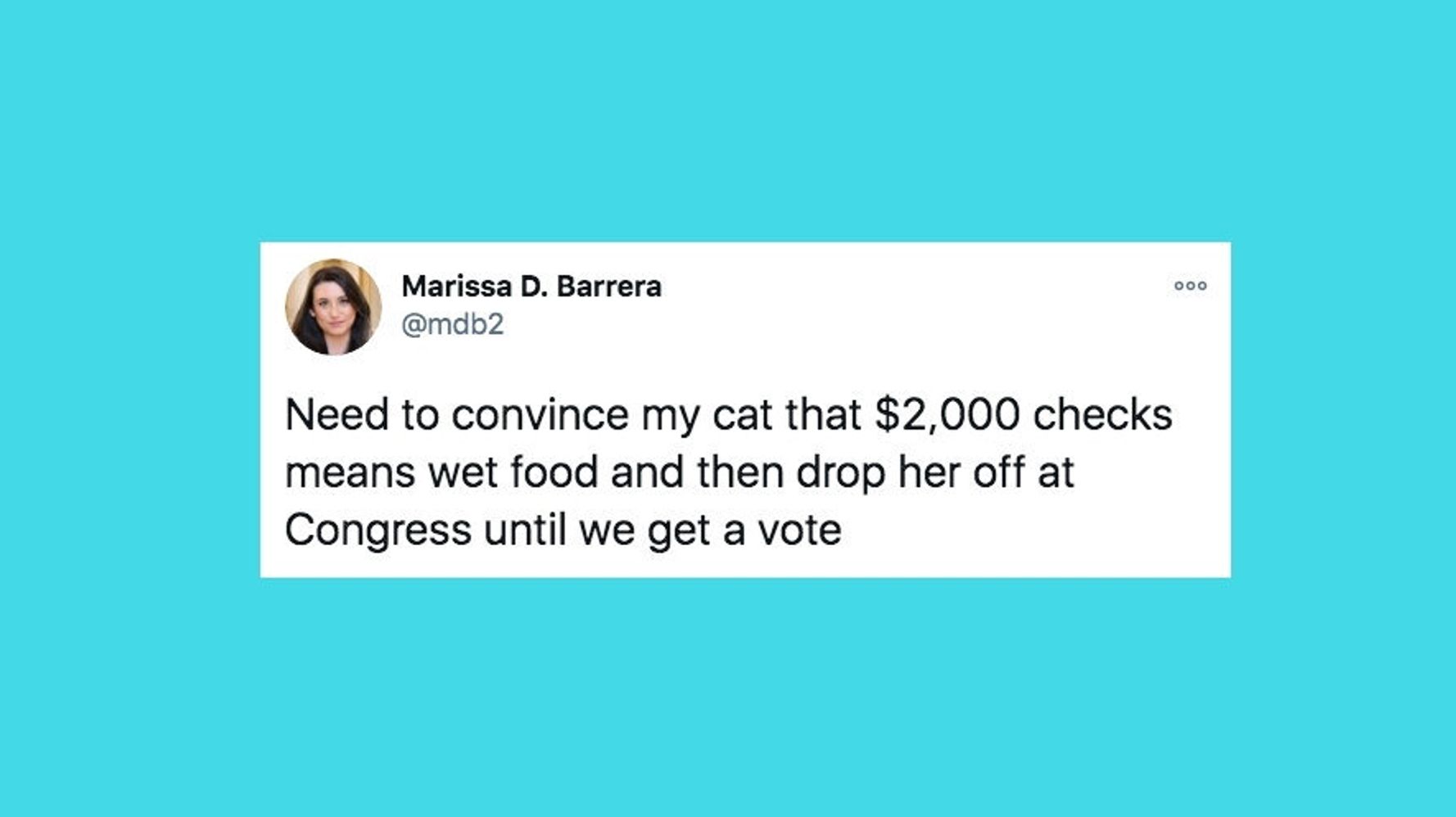 5fee4915260000fd2f0c6413