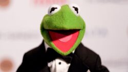 5ff0fd2d260000fd2f0c64dd