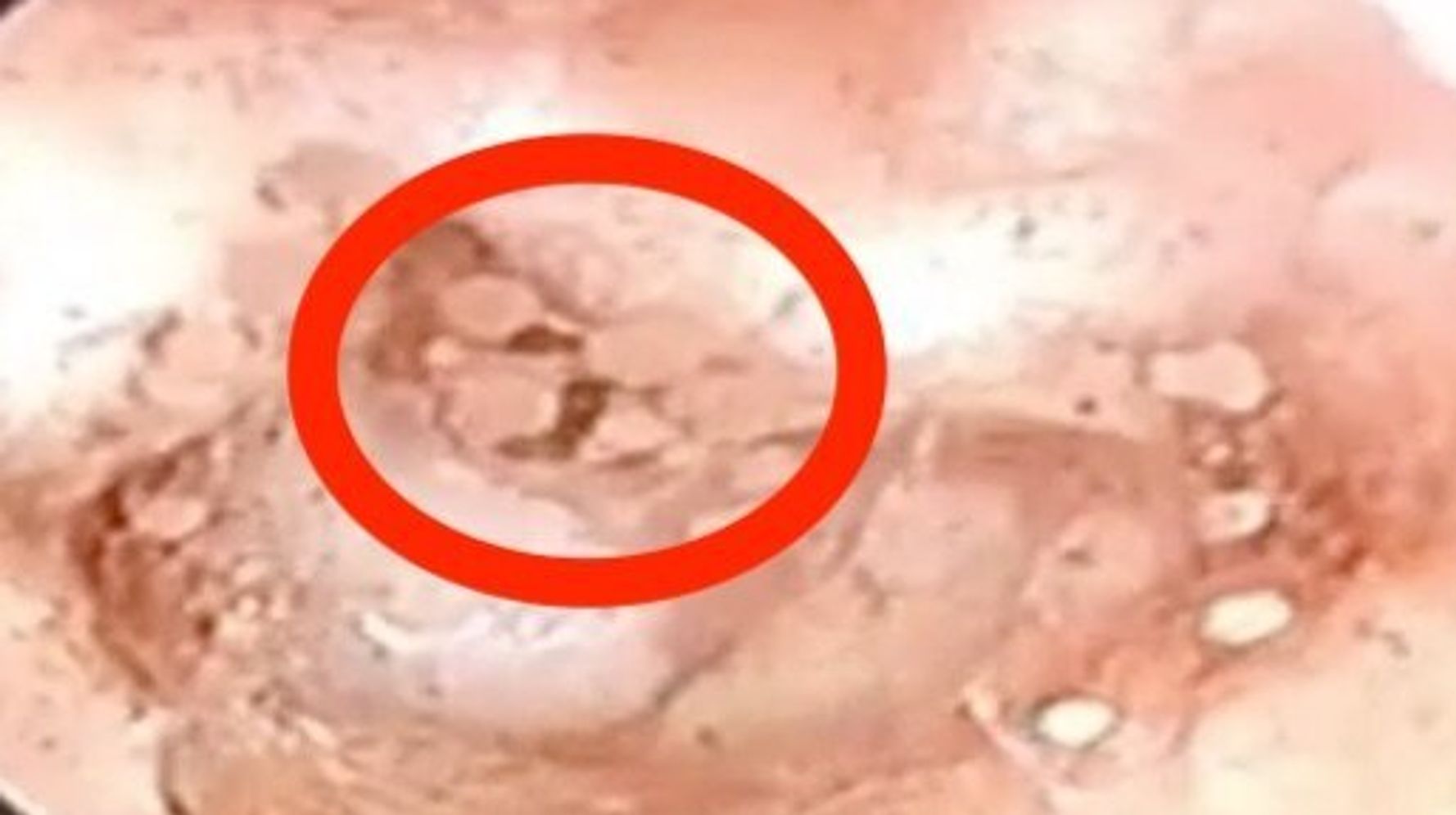 5ff2ddfa260000e42f0c656a