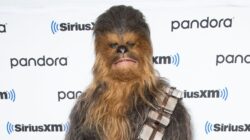 'Star Wars' Fans Defend Chewbacca After Pro-Trump Mob Sends Him Trending 3 5ff7470d260000d34aa500da