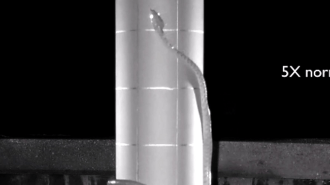 5ffcecc9260000e7720c6b61