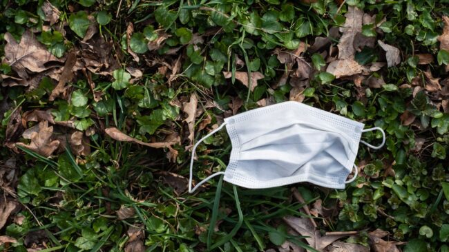 6012dcf82500000819e23bea